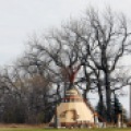 Gary Nelson has yard decorations outside his rural Christine, N.D. home, including a teepee. Carrie Snyder / The Forum